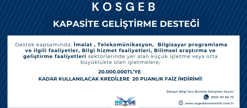 Asge Danışmanlık